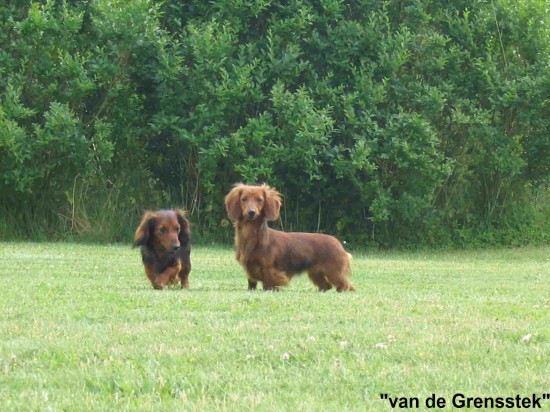 Amora en Vanya samen in Duitsland