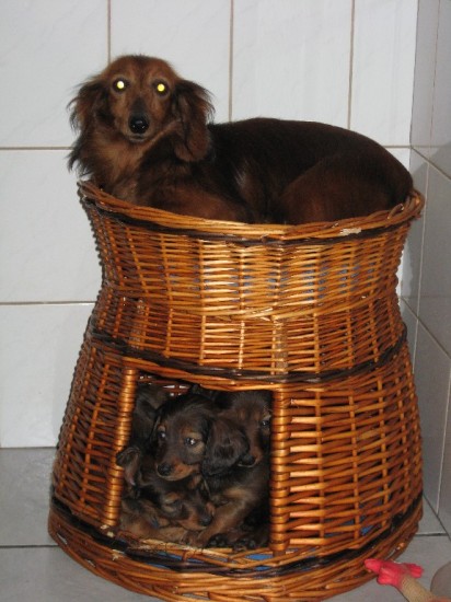 Samen met mamma   in de keuken.