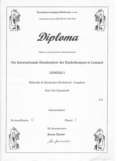 12-6-2011. Diploma 