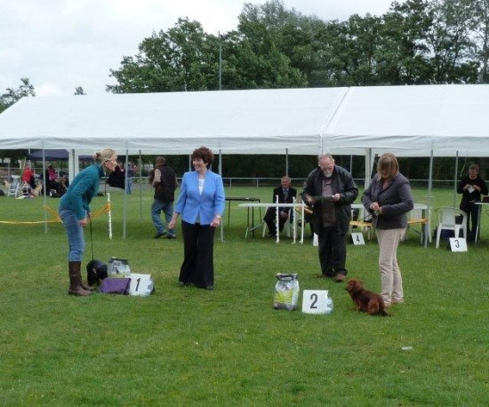 Kris behaald de tweede plaats in de rasgroep bij KC de Kempen op 19-6-2011