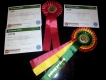 20-12-2013. Kerstshow. 1Uitmuntend, CAC, CACIB,  Beste reu, BOB