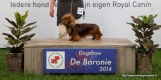 25-5-2014 Rasmus Dogshow De Baronie Tilburg