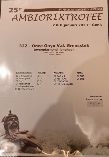 7-1-2023 Genk  25e Ambiorixtrofee 18 maanden