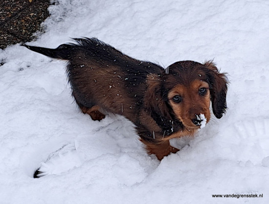 20-1-2023 Mijn eerste sneeuw