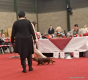 Lady in de ring