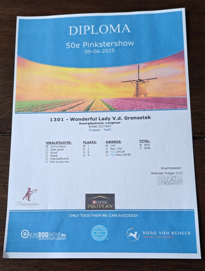 9-6-2025 Lady. 50ste Pinkstershow, Gorinchem