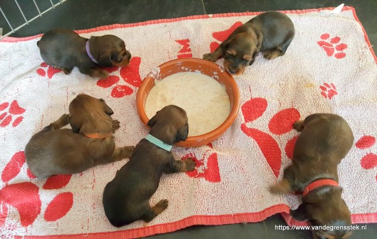 30-11-2019. 3 weekjes oud eerste keer pap eten. Mmm lekker