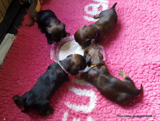 5-1-2022 Lekker pap eten
