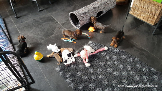 18-1-2022 binnen spelen