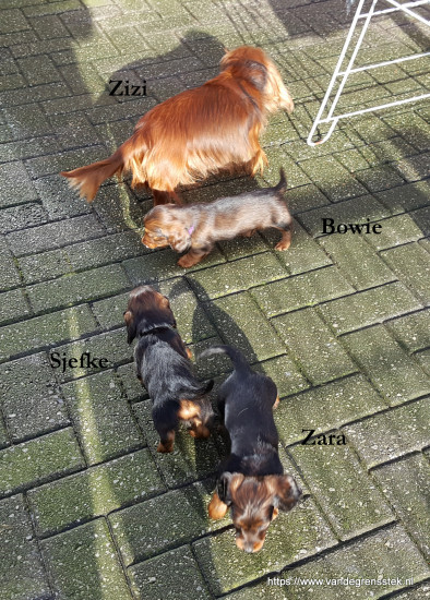 21-1-2022 zesde week Buiten spelen met mamma