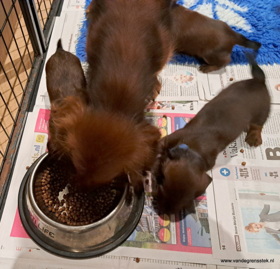 vijfde week snoepen van mamma's brokjes