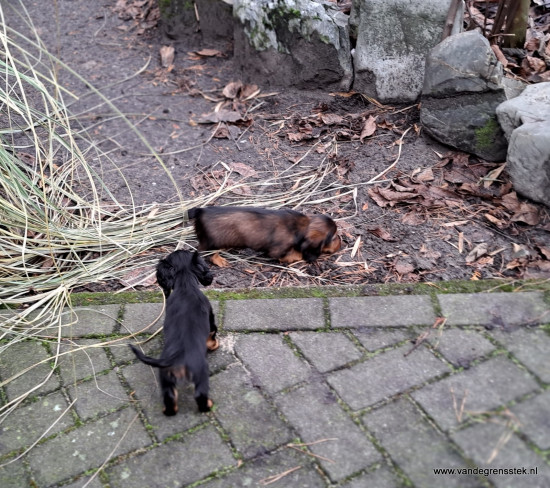 We gaan steeds verder de  tuin ontdekken