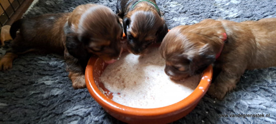 3 weekjes alweer. Lekker smullen van de pap.