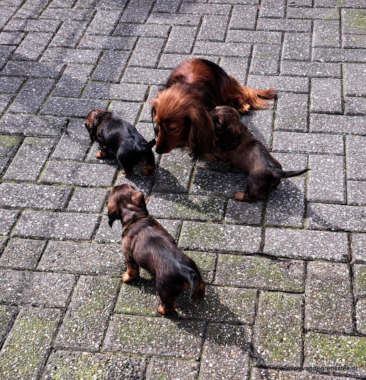 Lekker naar buiten samen met mamma Aafke