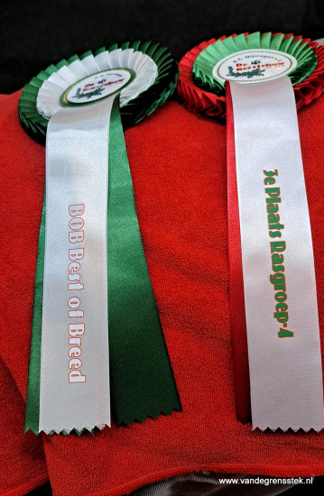 20-12-2025  Kerstshow KC Nijmegen 3e plaats erering